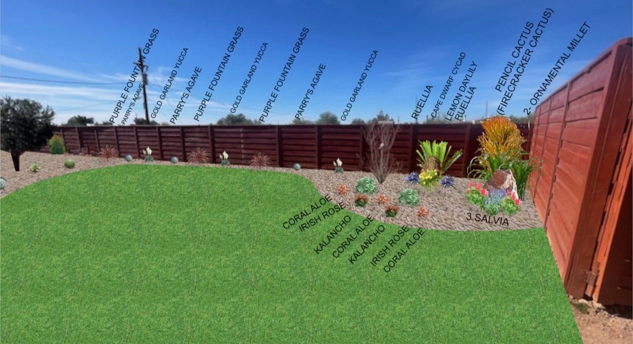 AARON 12- 2 - PLANT DIAGRAM CROPPED.JPG