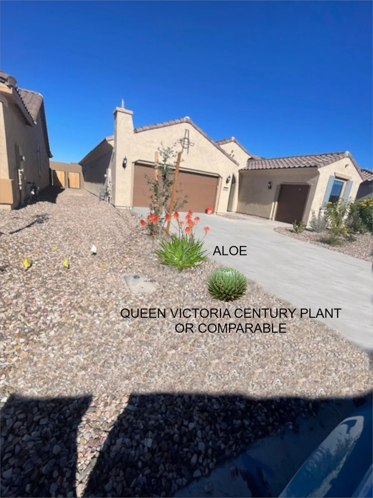 KARI - SIDE FRONT YARD REDESIGN - PLANT LIST.jpg