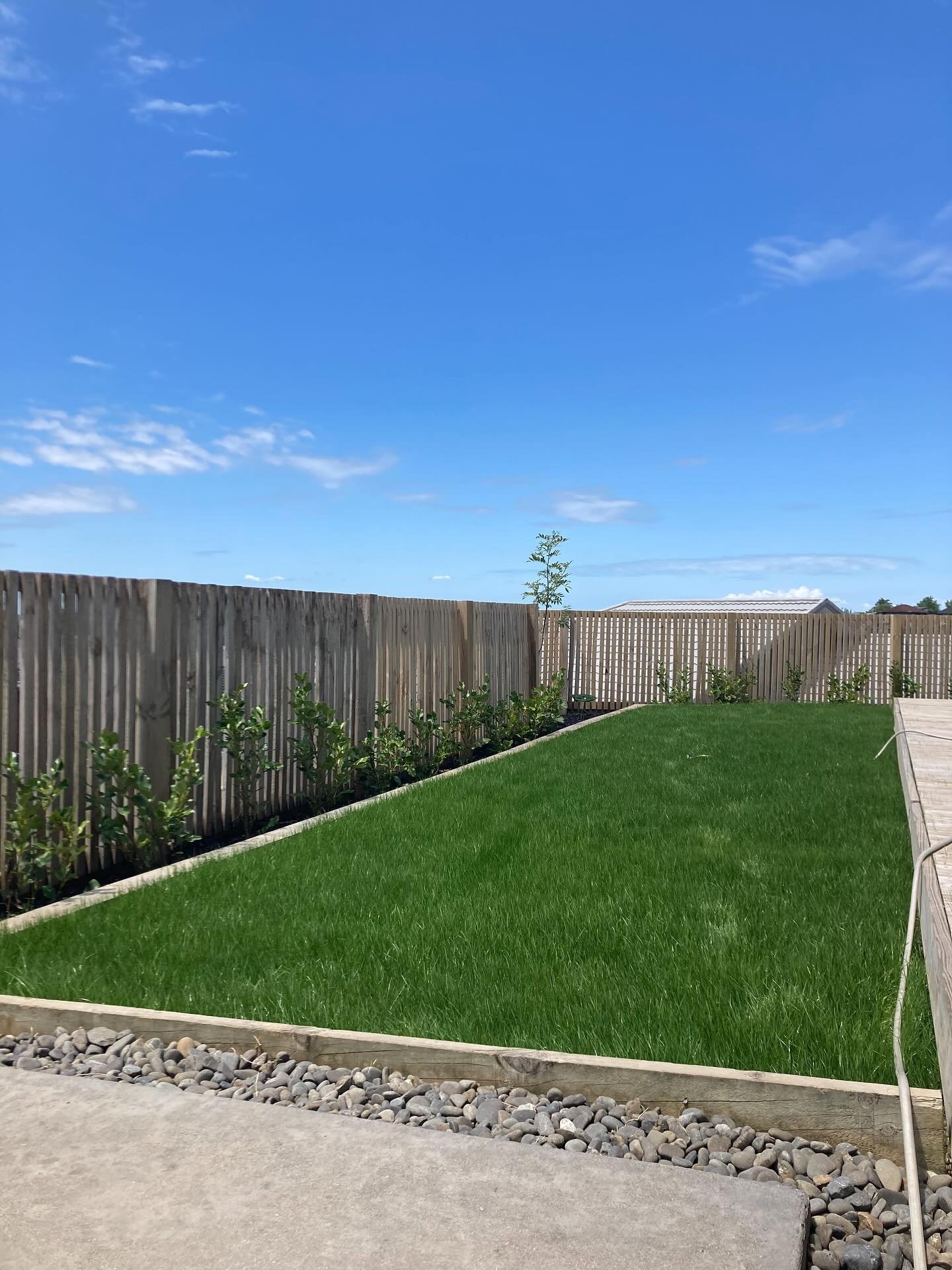 Lawn Establishment and Gardens by @williamsgardensnz Call William today, no pressure tactics ✌️#landscaping #Waikato #lawn #lawnandgarden #lawngoals #lawnbowls