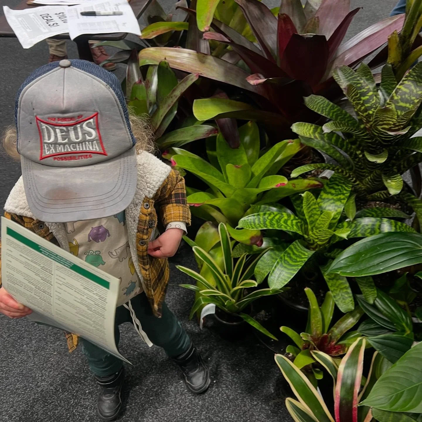Had the best little buddy accompanying @williamsgardensnz at the Nursury Trade Day!! 🌸 #bromeliad #bromeliad #tropical #plants
