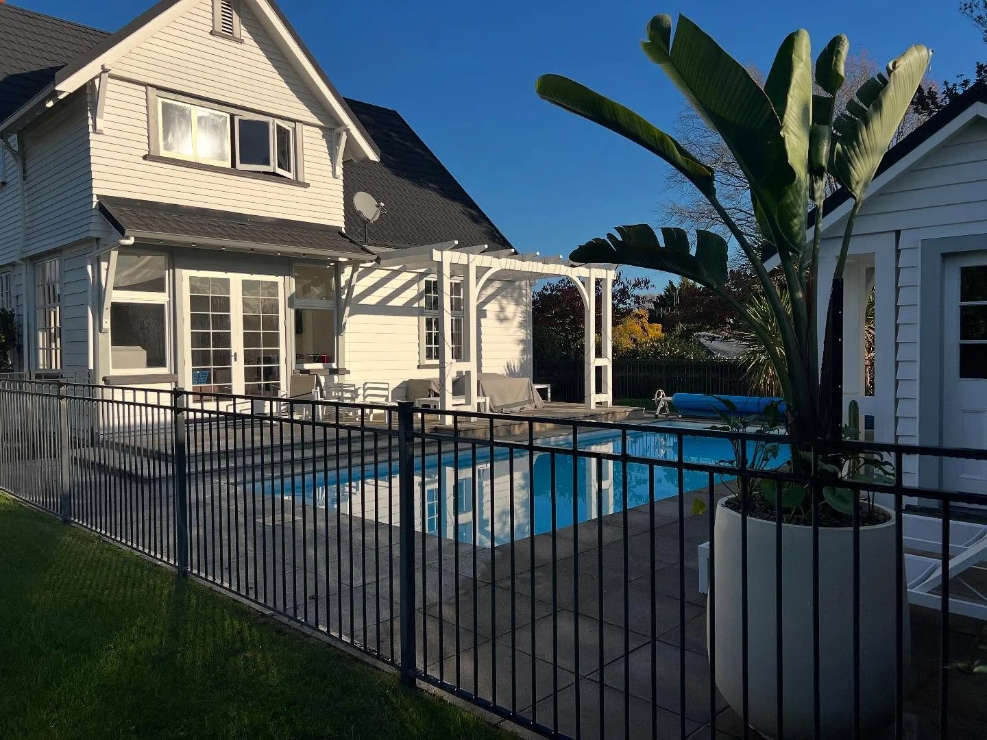 Feature pot by @williamsgardensnz - Bianca Palm planter paired with #birdofparadise #strelitzianicolai - easy care. Low maintenance - get in touch so you can kick back 🧘🌴 #gardendesign #waikato #pool #gardendesigner #lowmaintenance #easycare #garde