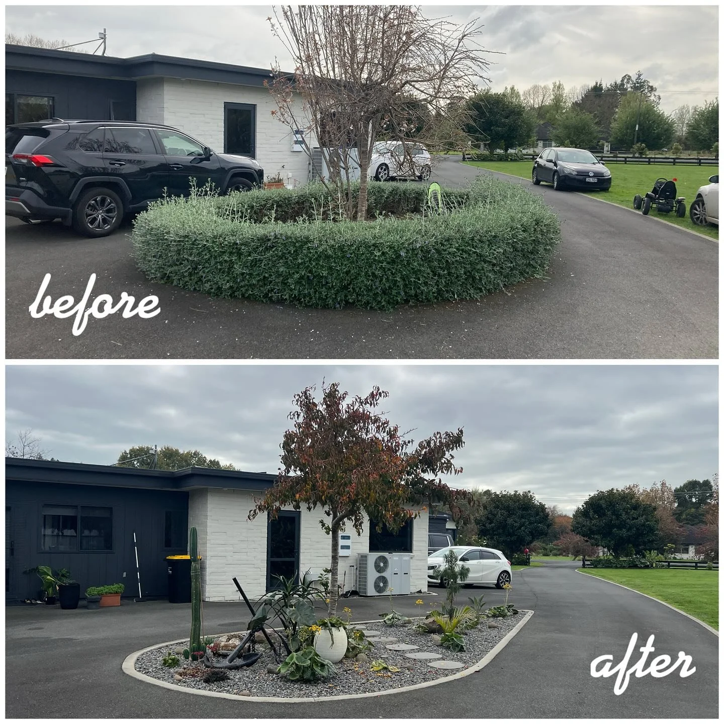 Garden redesign by @williamsgardensnz - Waikato based, since 2020🌵🏜️ #lowmaintenance #beachy #cactus #xeriscape #redesign #steppingstones #path #aloe