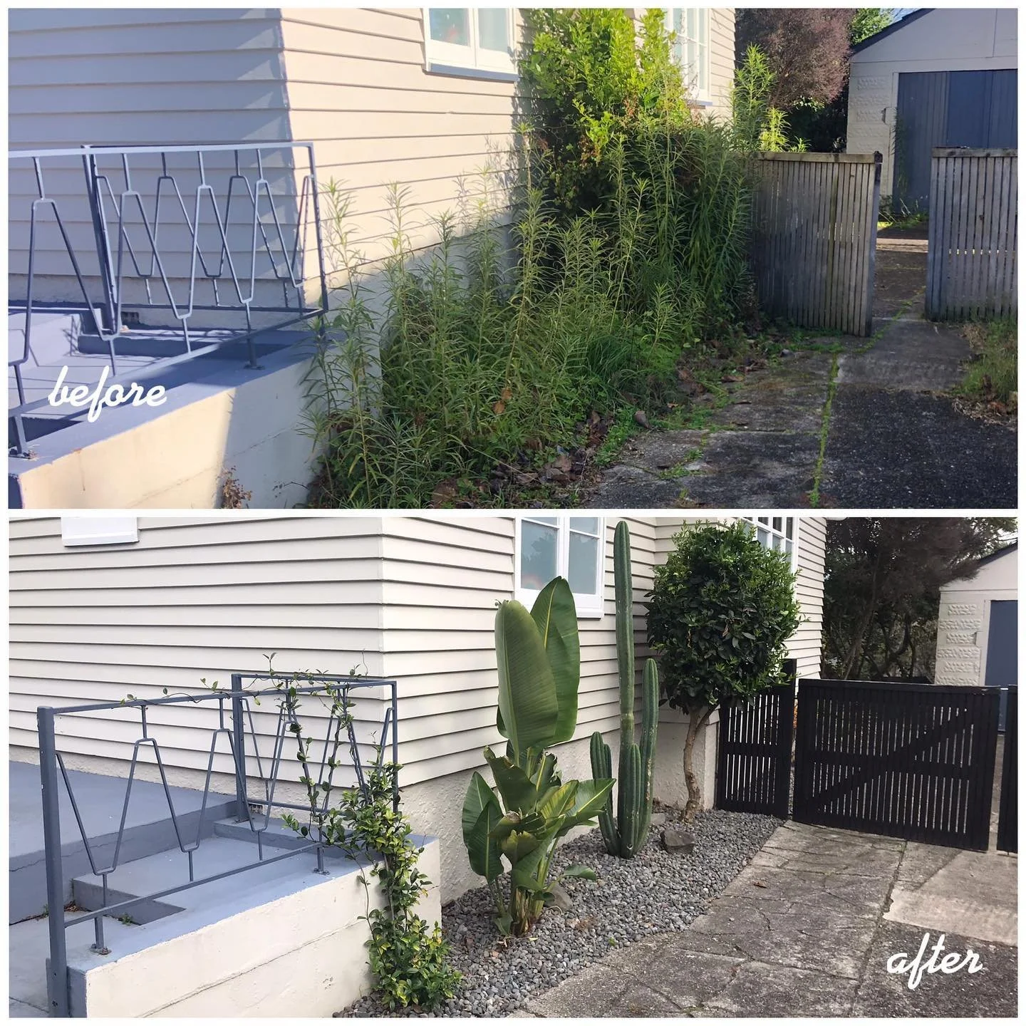 Water-wise garden makeover by @williamsgardensnz - Servicing Waikato since 2020 - get in touch and get the ball rolling 🎳