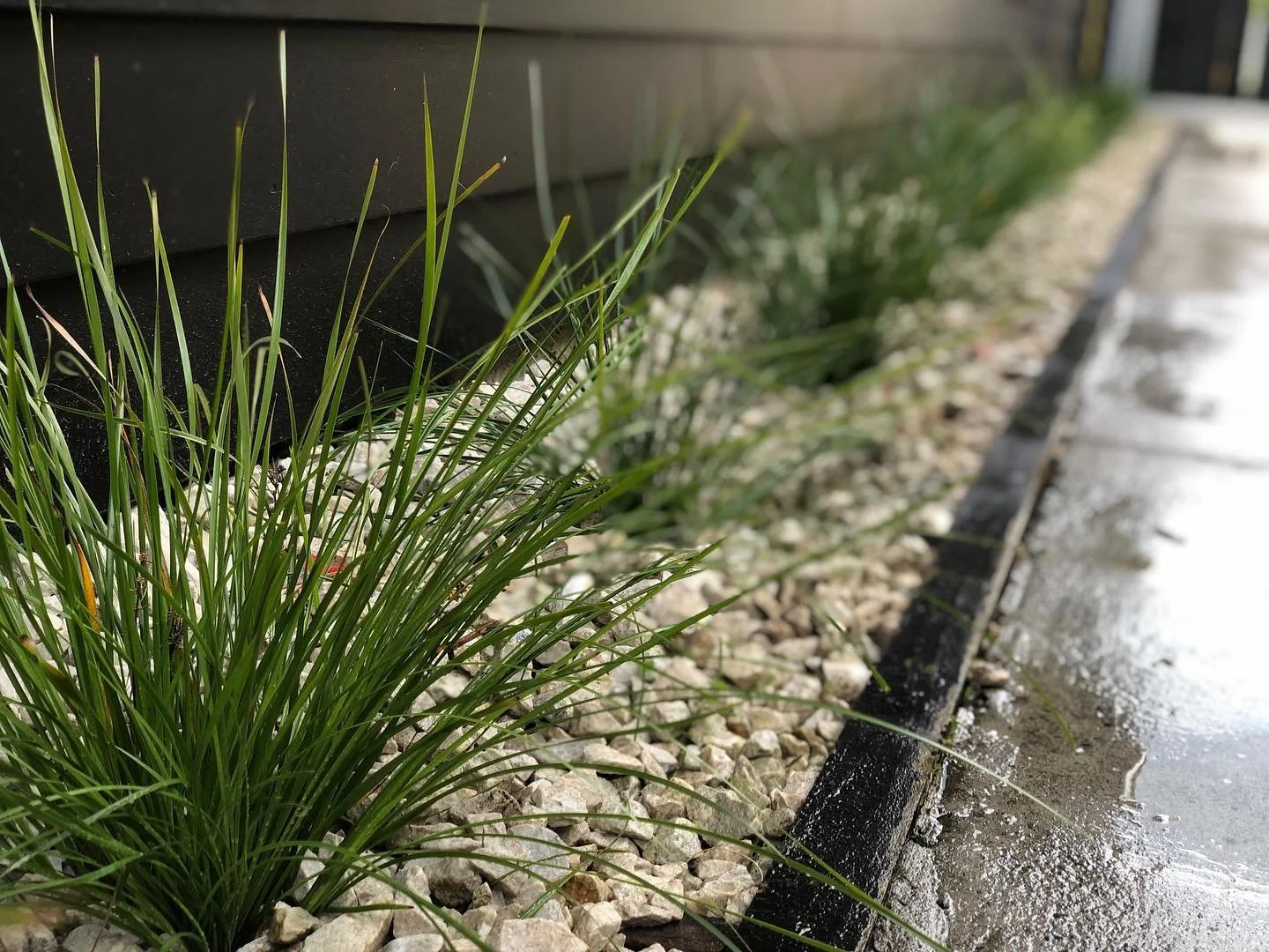 🌾🌾🌾 Landscaping by @williamsgardensnz