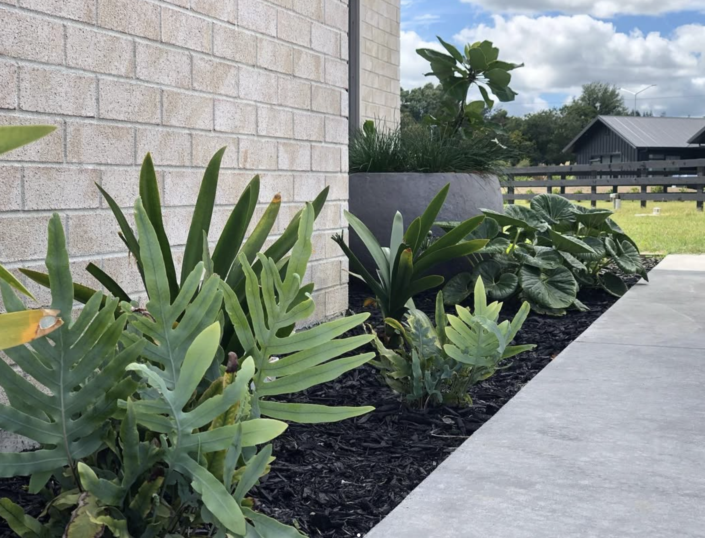 A garden with green plants along a concrete walkway, a brick wall on the left, and a gray planter with more plants. In the background, a black fence, a lawn, a black building with a metal roof, and a partly cloudy sky with some wind turbines are visible.