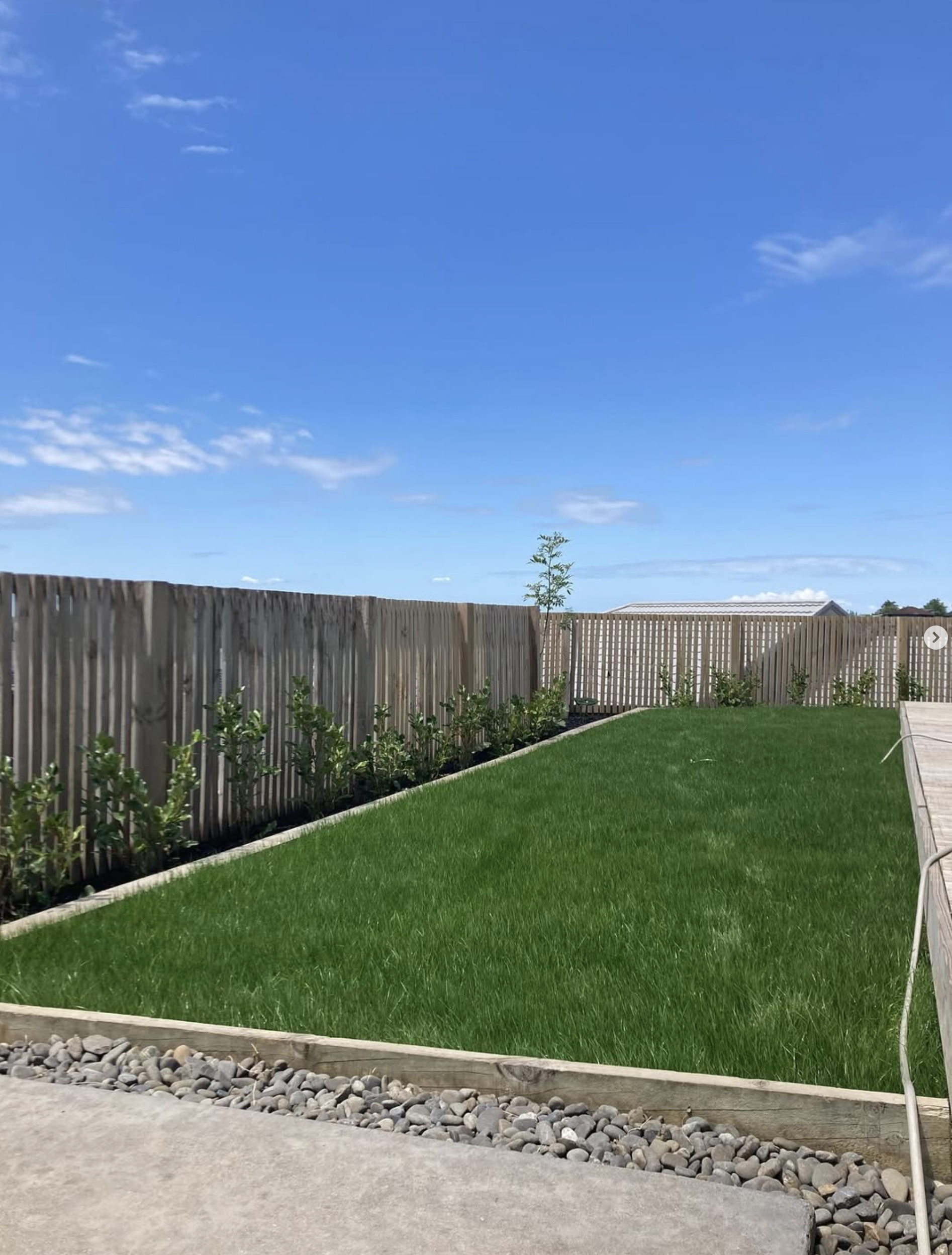 Backyard with a wooden fence, green grass, small plants, and a clear blue sky with a few clouds.
