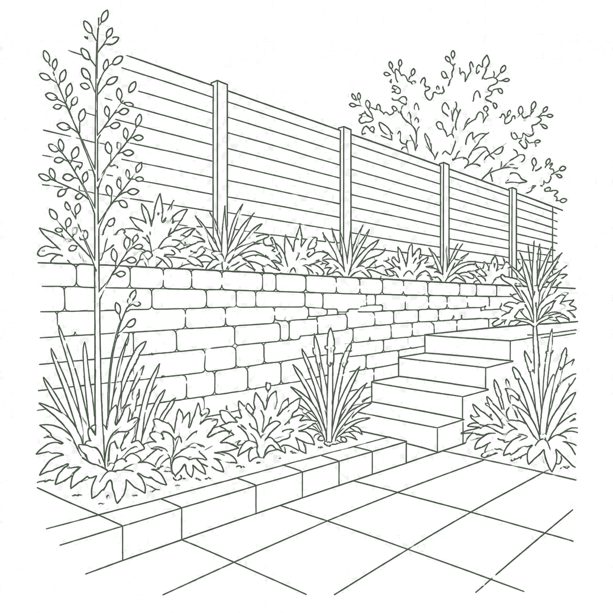 Line drawing of a garden with plants, a brick wall, steps, and a fence.