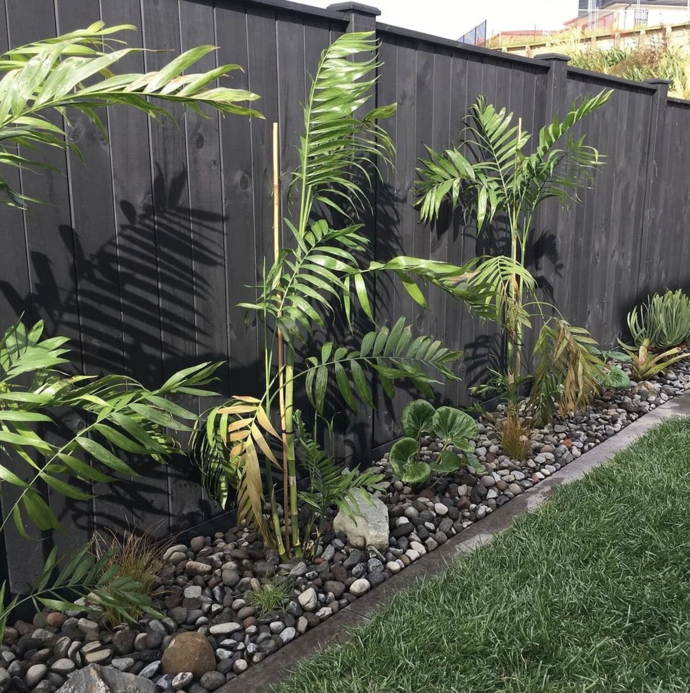 A black wooden fence runs along a garden bed filled with various green plants, including tall palm-like foliage and smaller leafy plants, with a bed of rounded rocks beneath the plants and a strip of grass in the foreground.