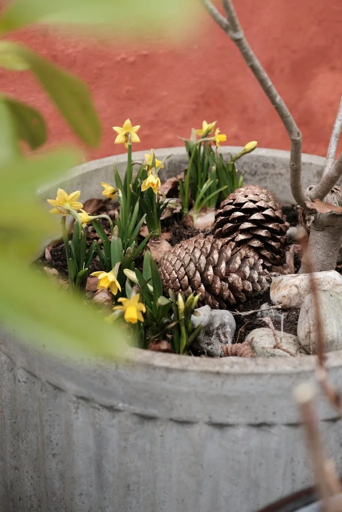 Kom og nyd Påsken med en dejlig Påskefrokost på Den Røde Cottage.