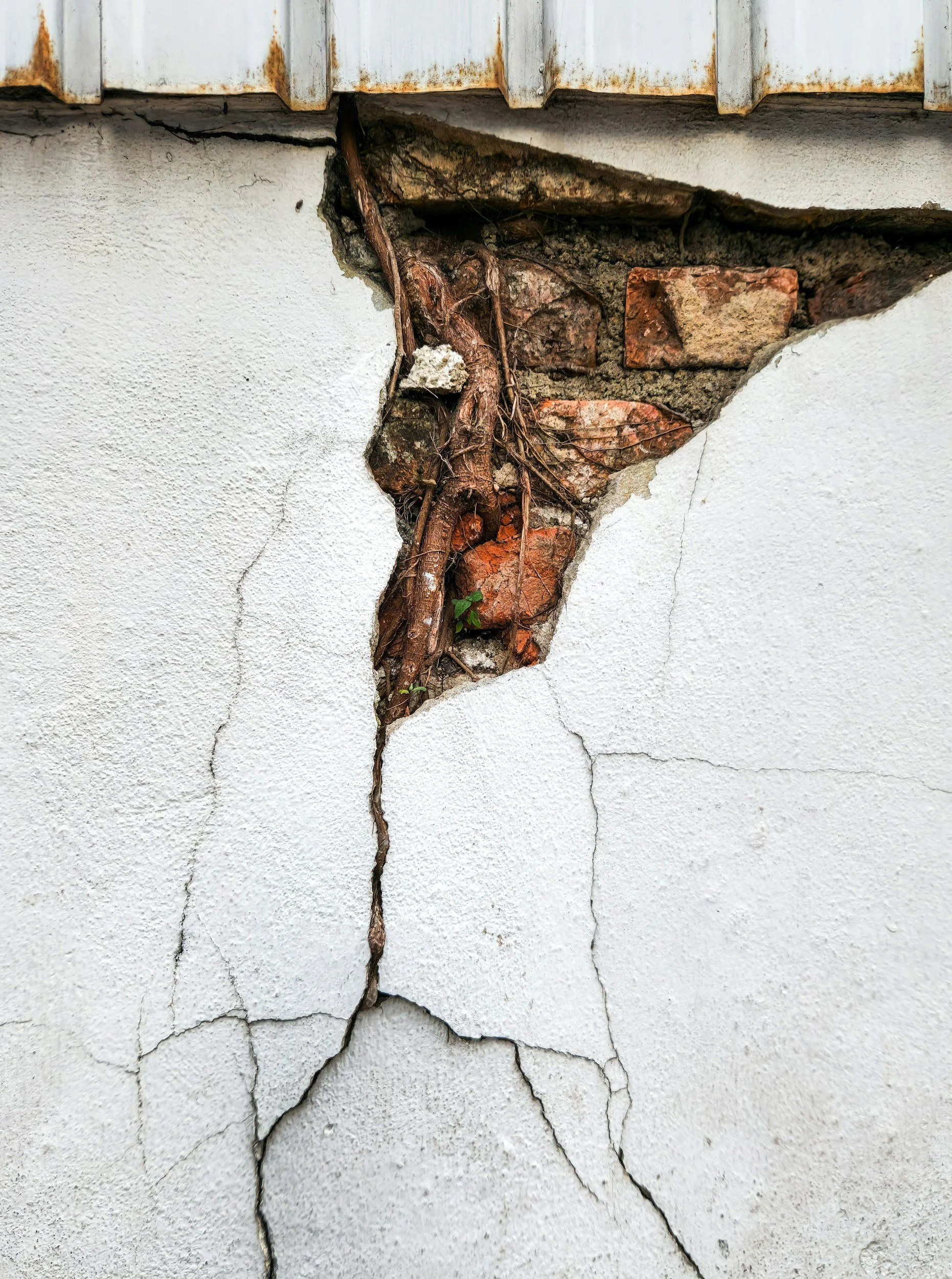 Why Are Some Home Inspections So Cheap?