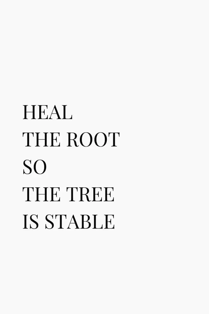 Inspirational quote: 'Heal the root so the tree is stable' written in black text on a white background.