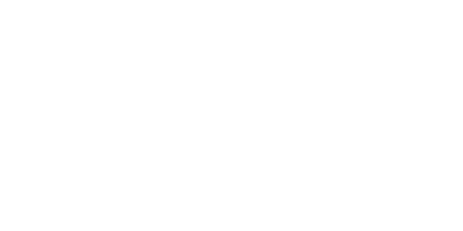 BearshieldBison