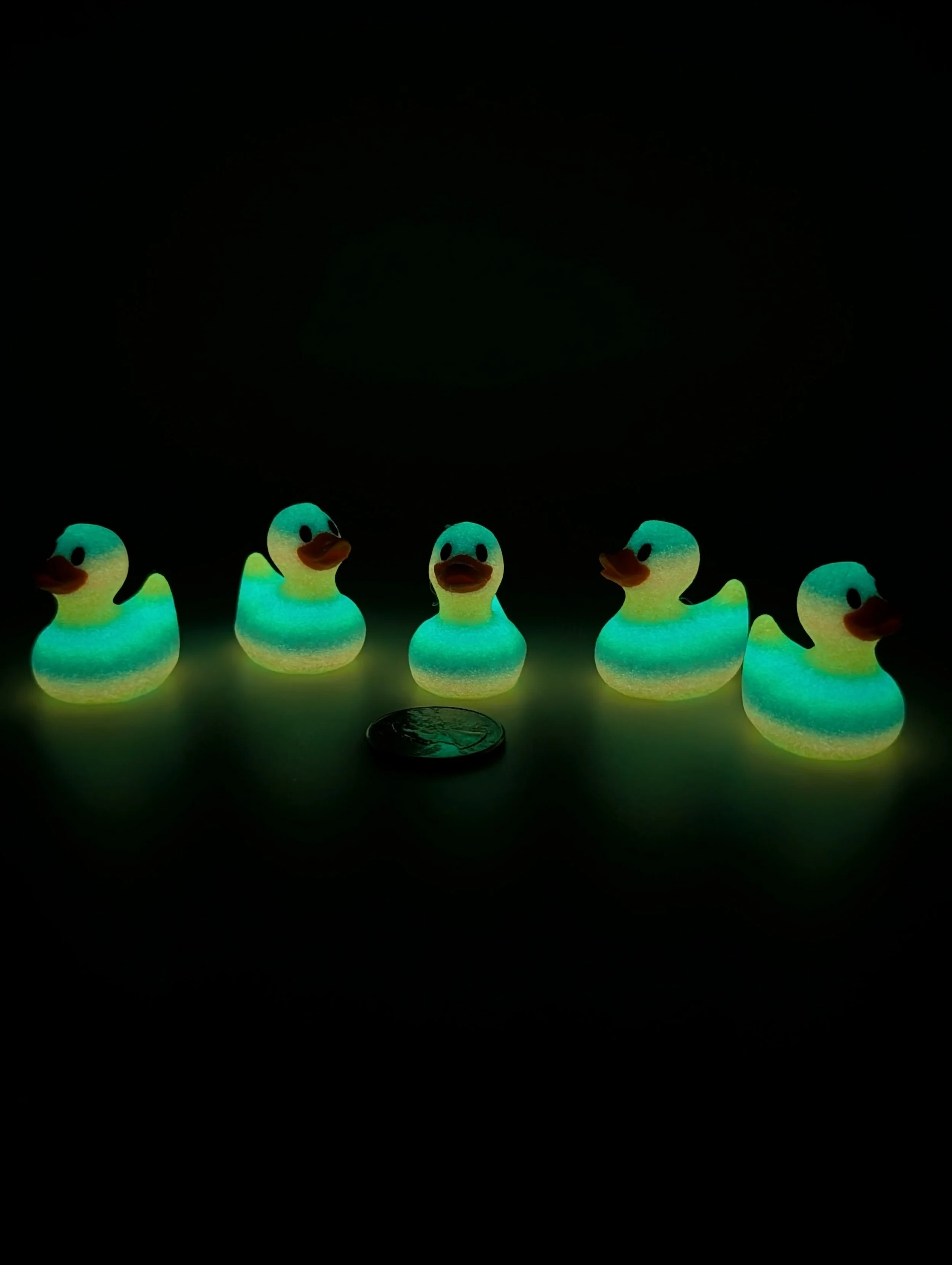 Glow-in-the-Dark Magnetic Ducks