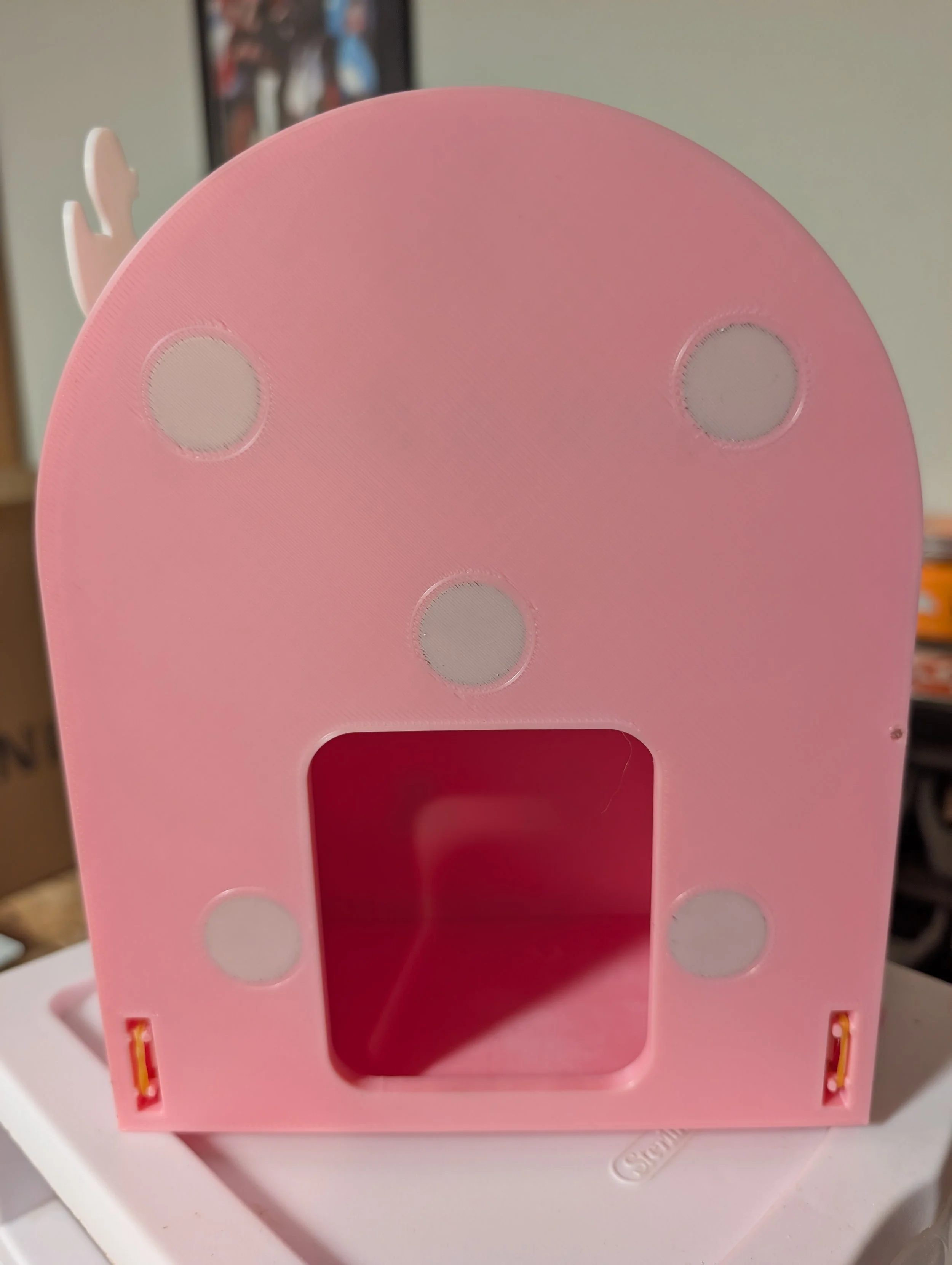 Pinkie Back.jpg