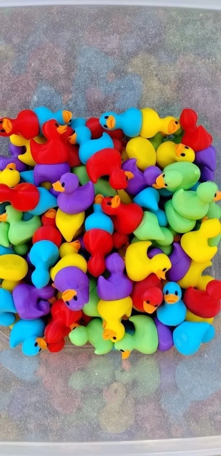 Multi Ducks.jpg