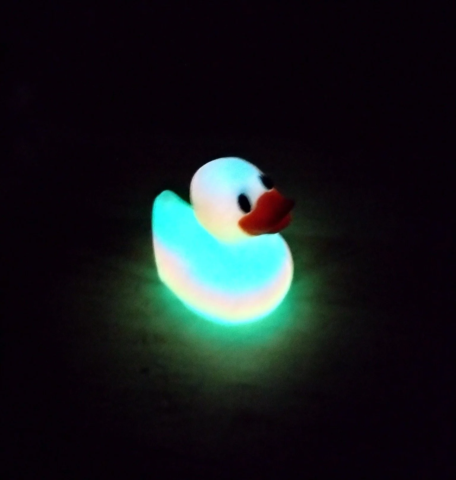 Glow Duck 2.JPG