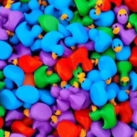 Multi%2BDuck.jpg (Copy) (Copy)