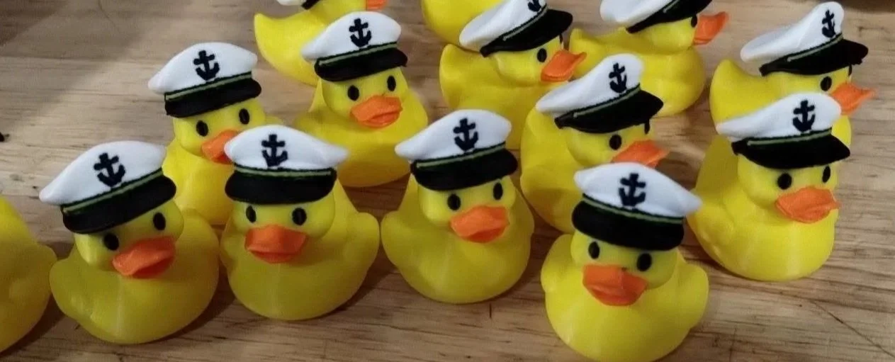 Skipper+Ducks.jpg