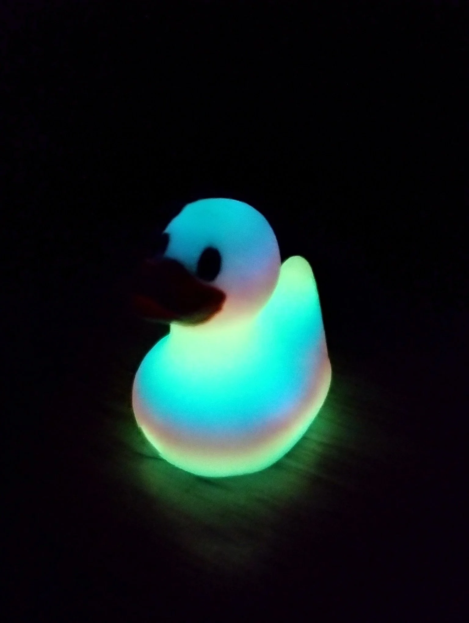 Glow Duck.jpg