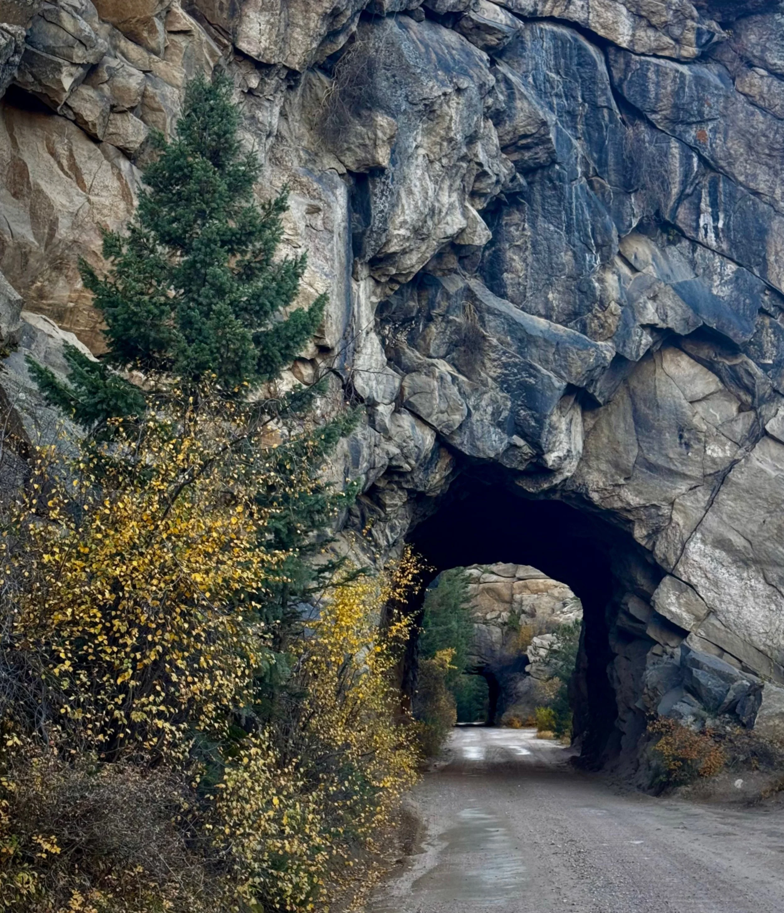 A dirt road passing through a natural rock arch in a mountainous landscape with trees and autumn foliage.
