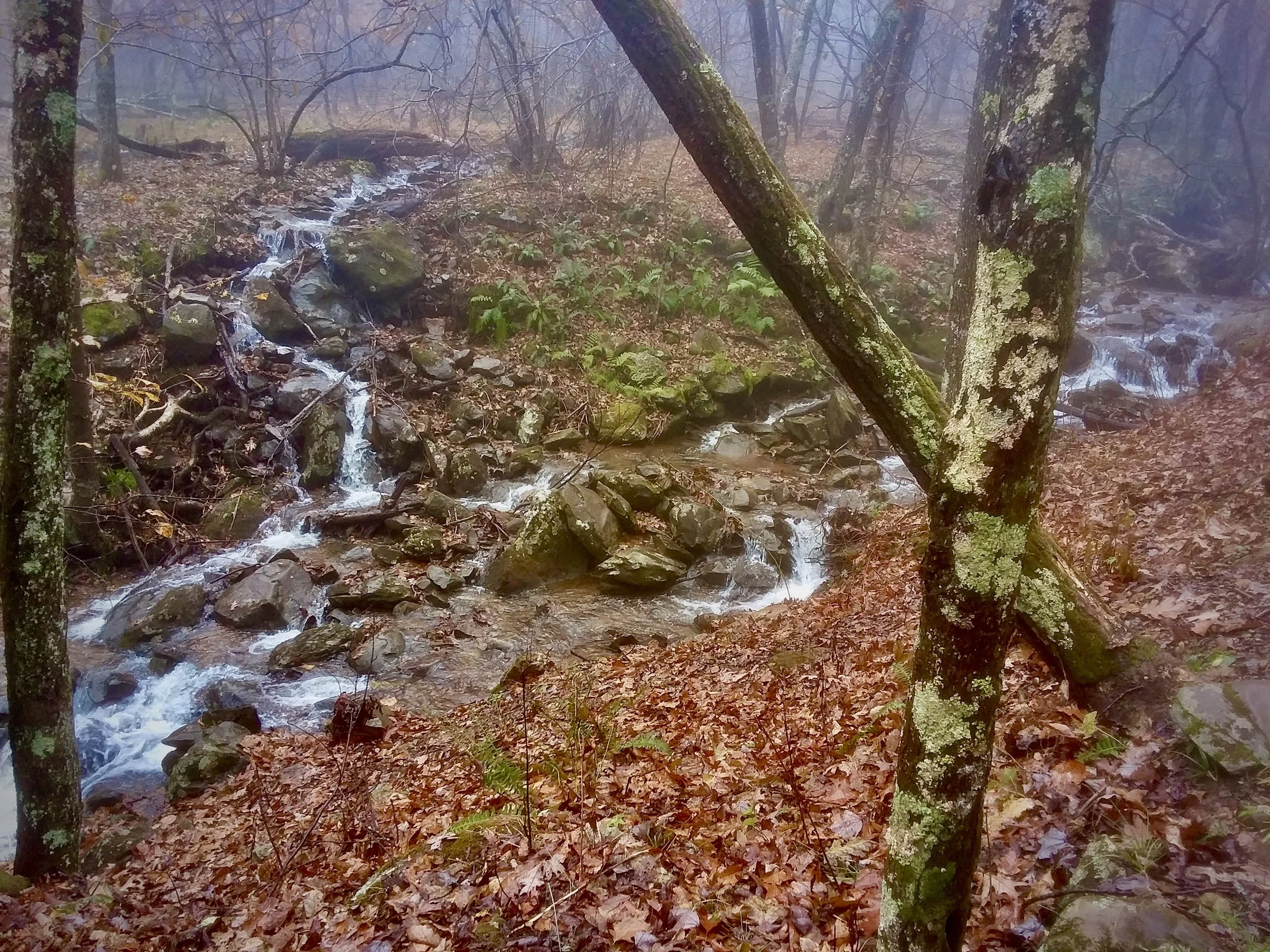 20181105_120813.jpg