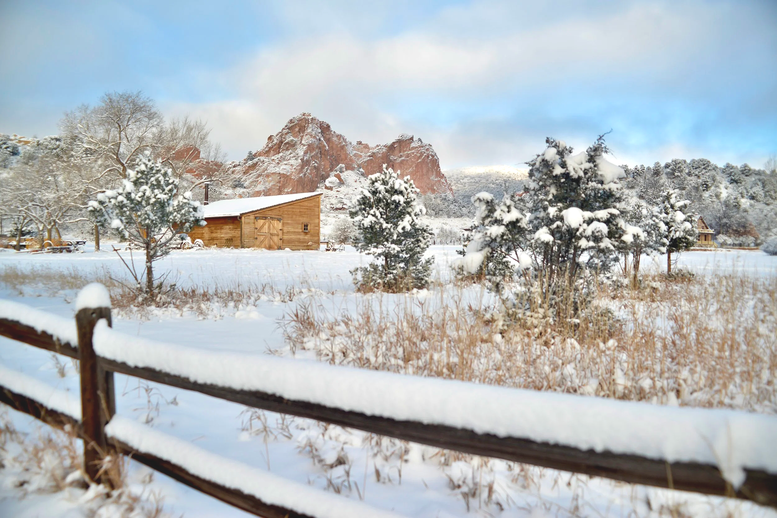 Welcome to Colorado's Snow Covered Ranch.