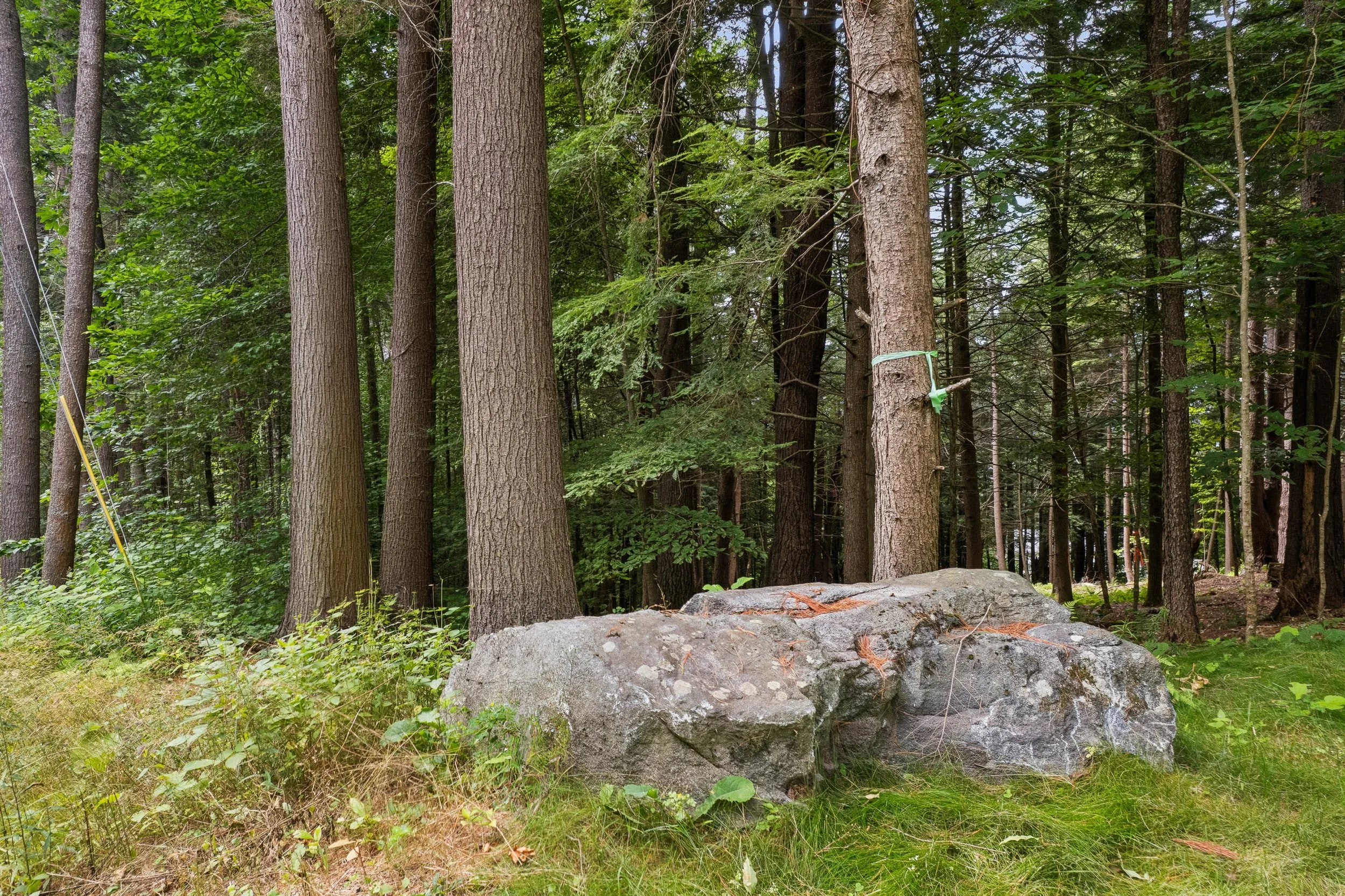 0 Balch Hill-10.jpg