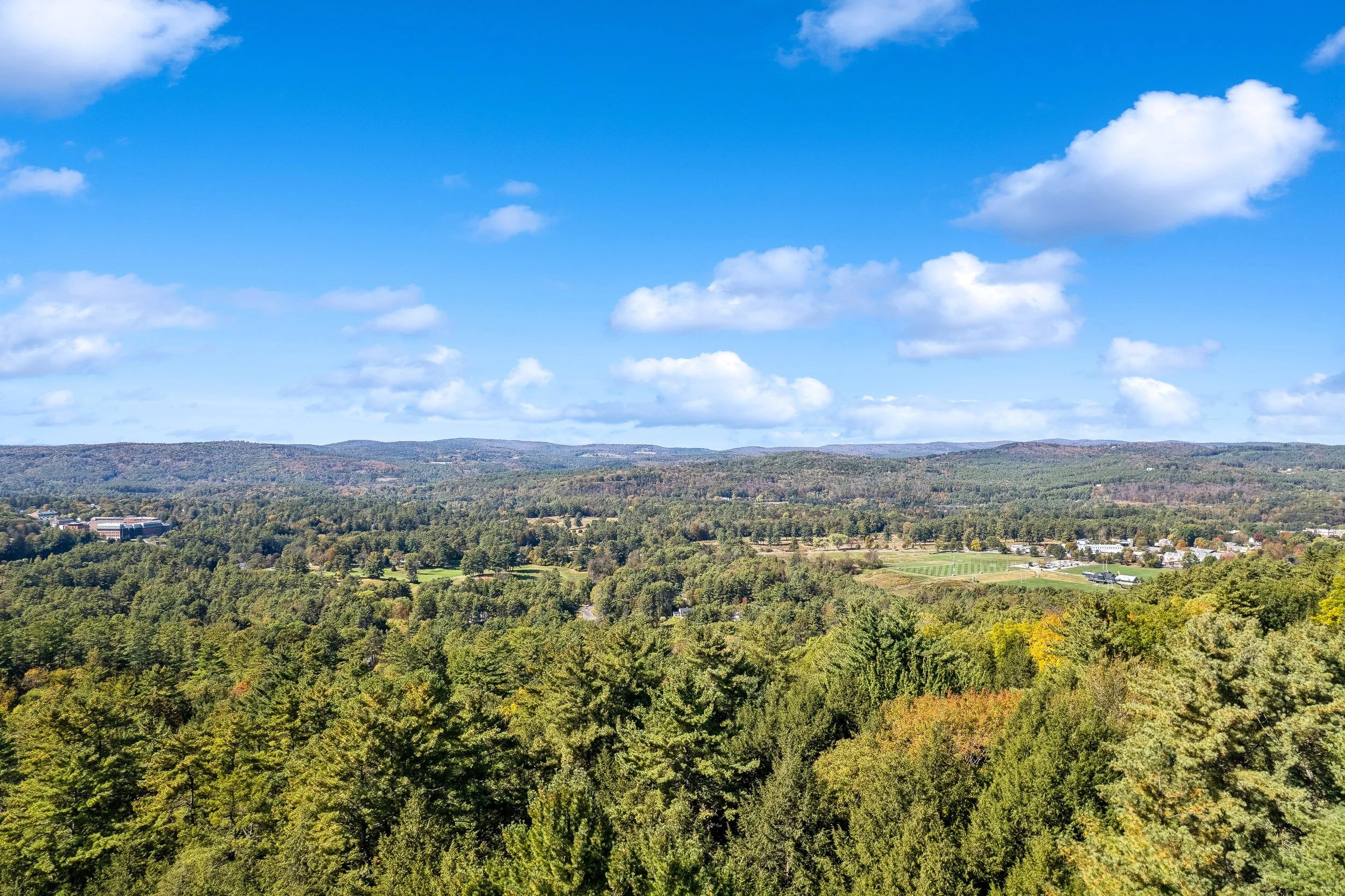 43.jpg
