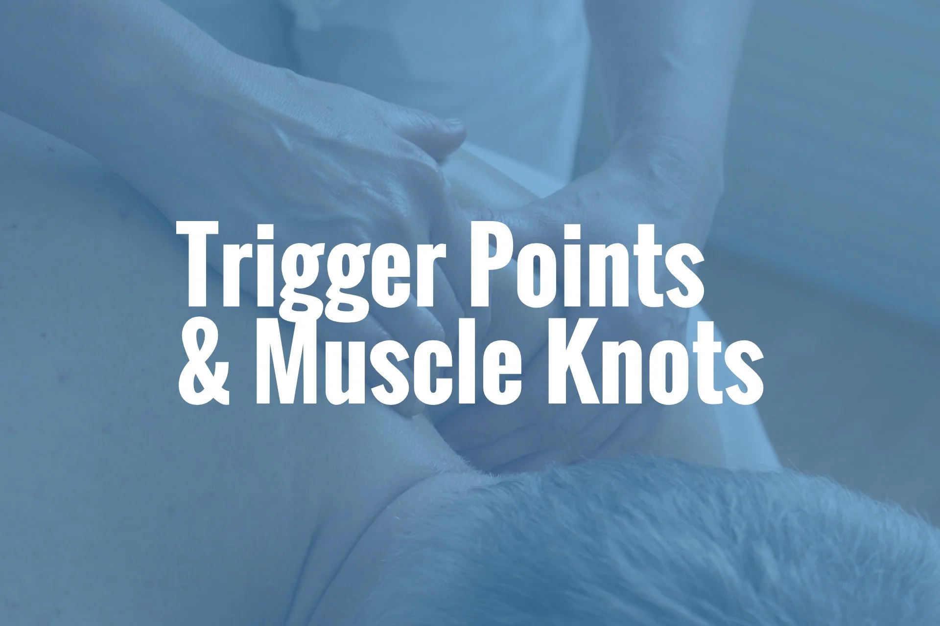 Trigger Points and Muscle Knots
