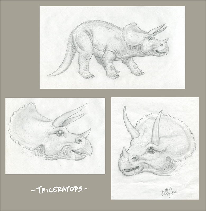 Triceratops_grouping.jpg