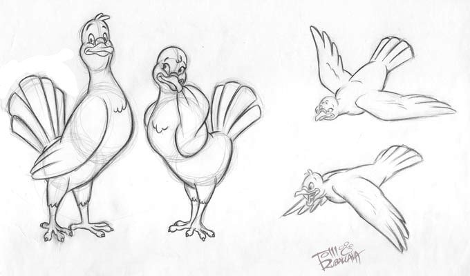 Pigeon_1-2.jpg
