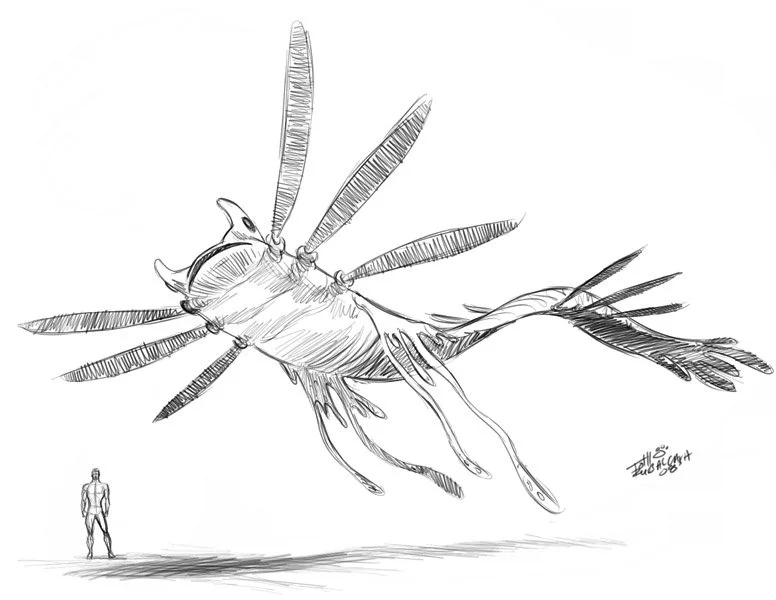monster004.jpg