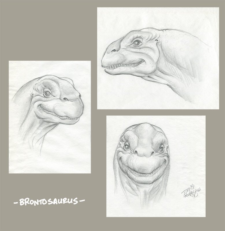 Bronto_grouping.jpg