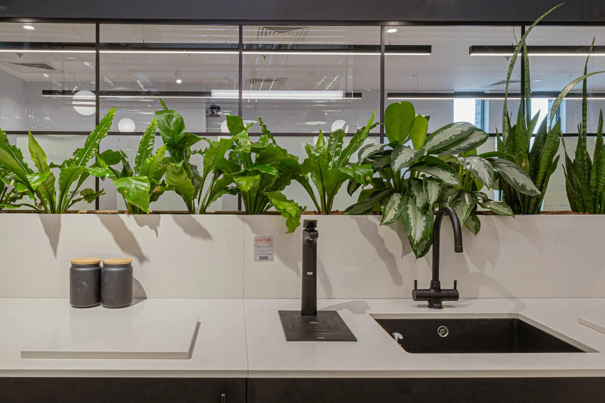 Modern kitchen with potted green plants behind a white countertop, black sink, and black faucet, set against a glass partition reflecting ceiling lights.