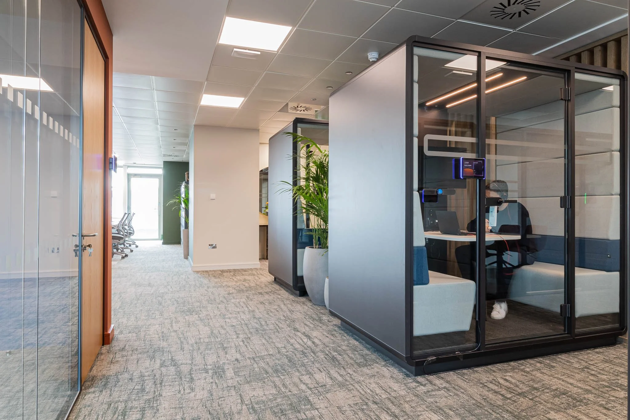 Office corridor with glass private booths, potted plants, and chairs at the far end of the room.