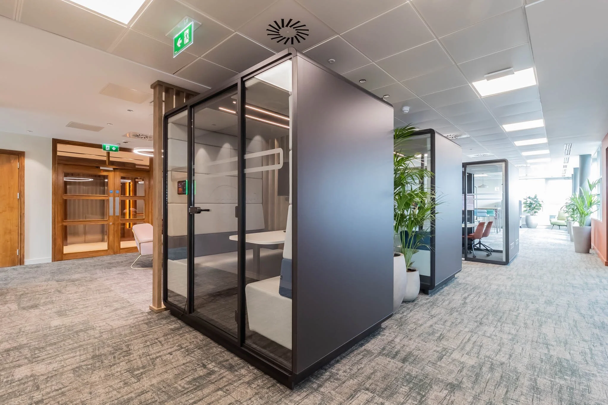 Modern office space with glass-walled meeting pods, potted plants, and a seating area with chairs and large windows providing natural light.