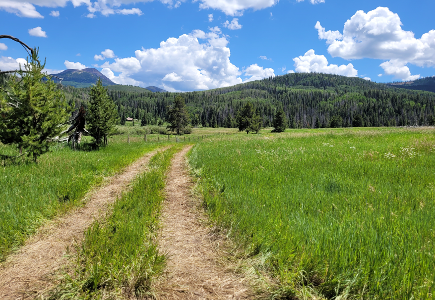 Remediation Post Event.png