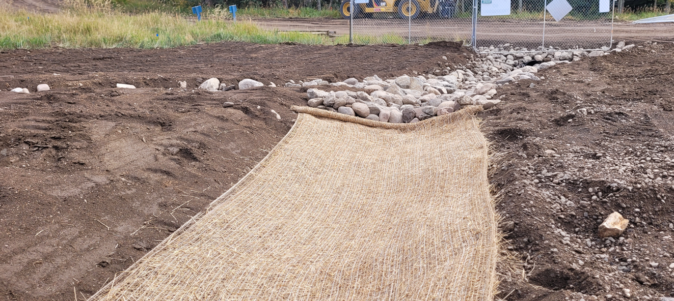 BMP Management 3.png