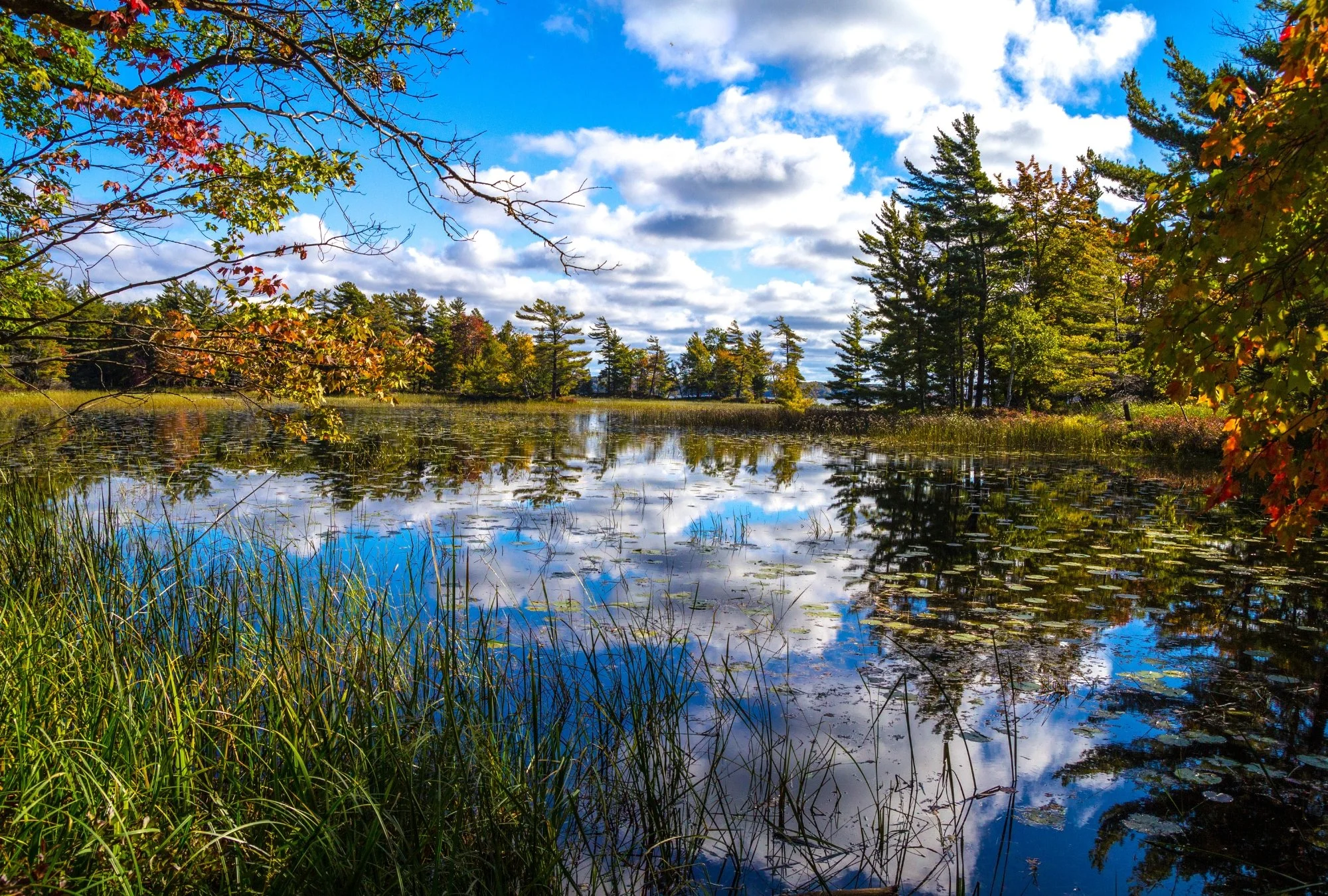 Riverside Energy Continues Antrim Shale Expansion with SRW Acquisition