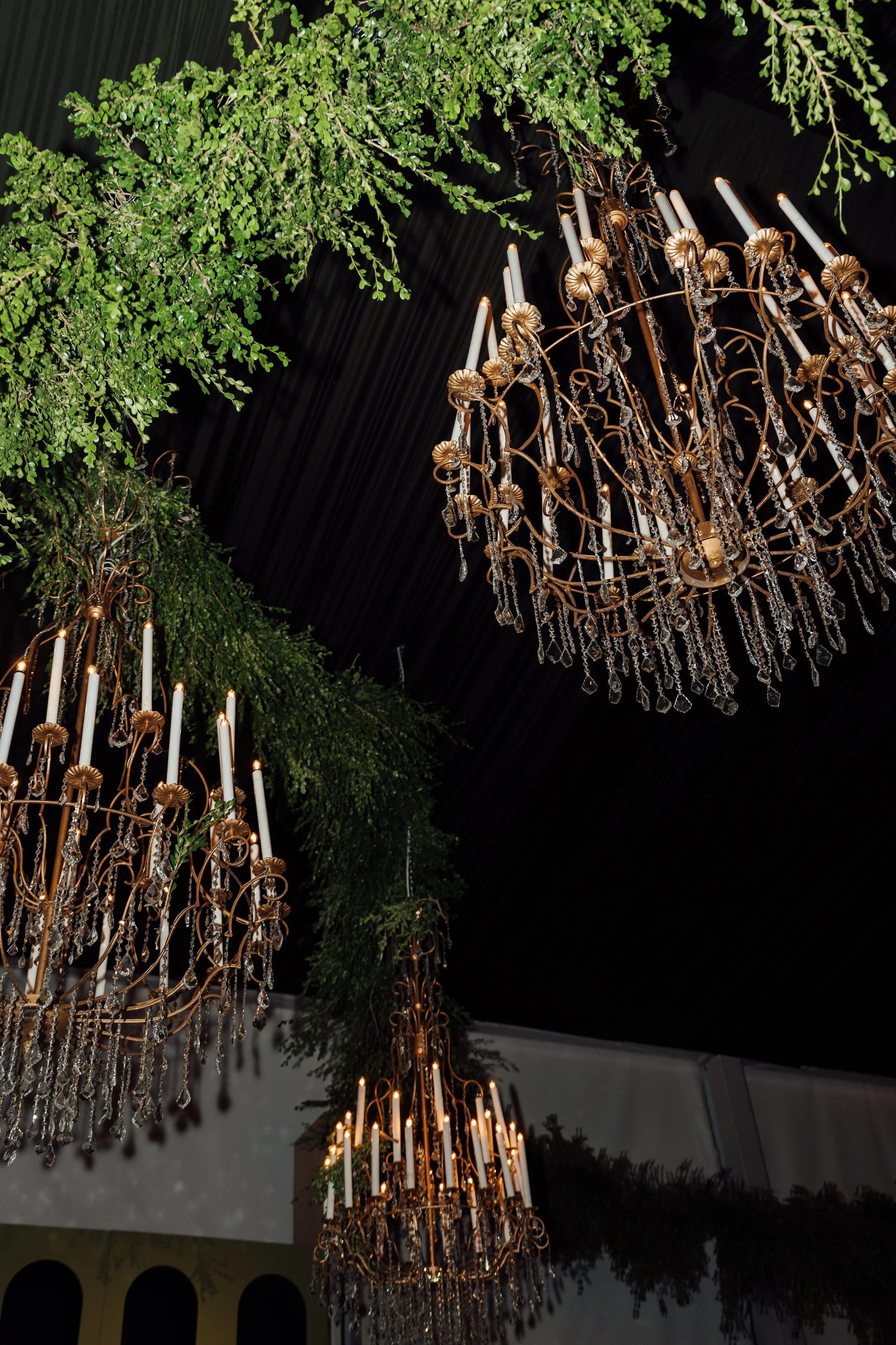 Elegant interior with multiple ornate chandeliers hanging from the ceiling, surrounded by lush green foliage and dark drapery.