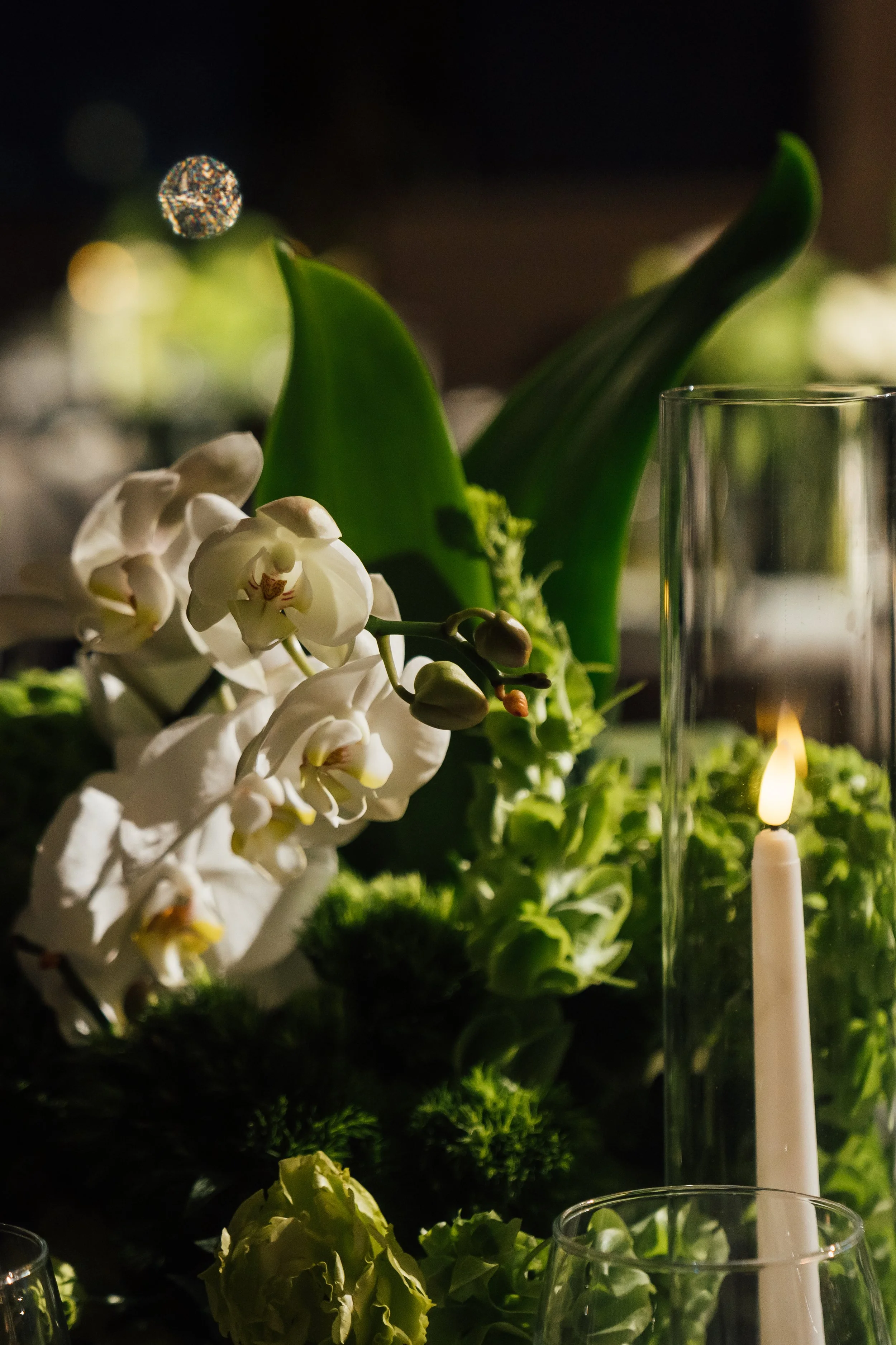 Close-up of white orchids, green leaves, a lit white candle in a glass holder, and blurred background with warm lighting.