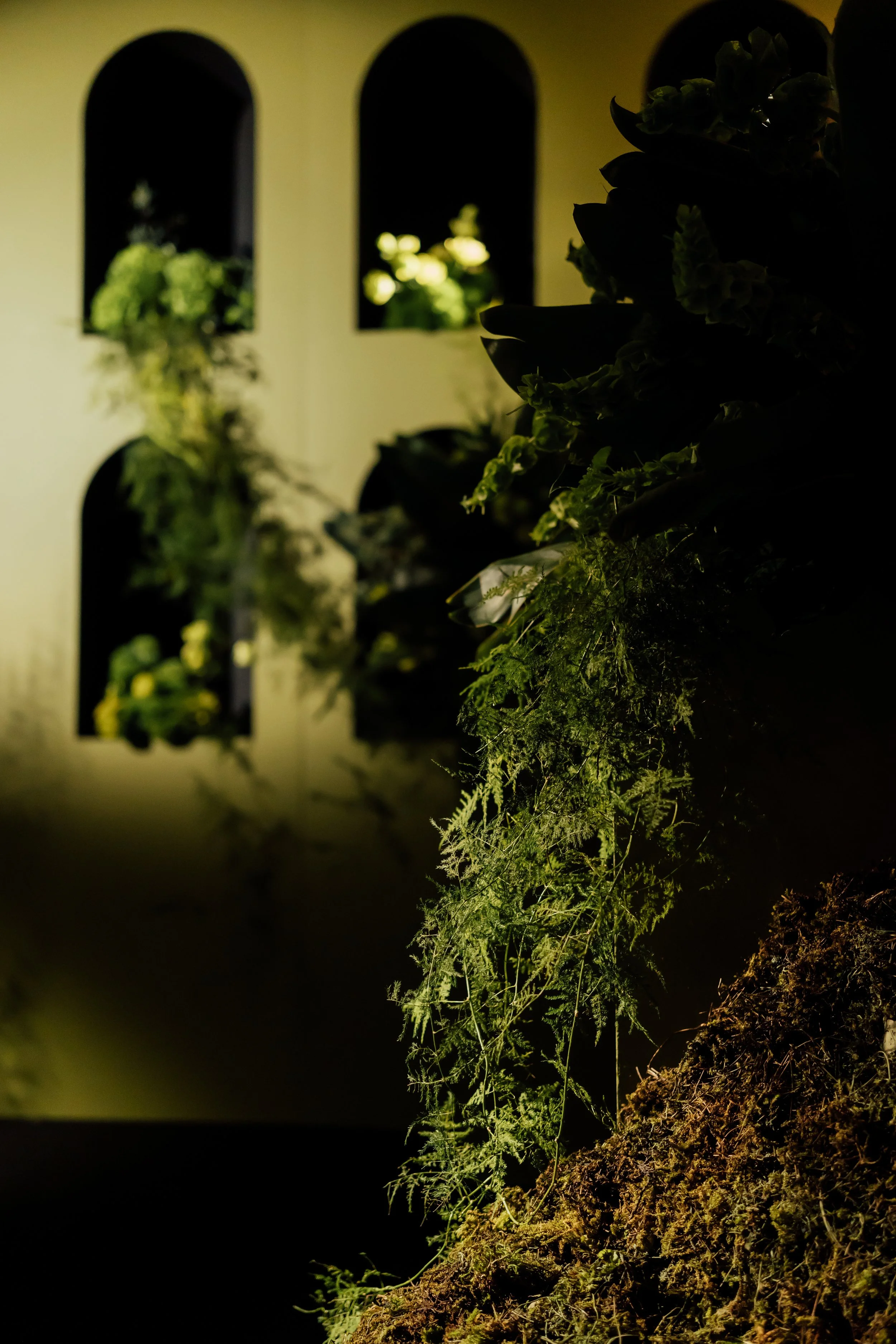 Close-up of plants and moss in foreground with illuminated wall and arched windows with plants outside in background, at night.