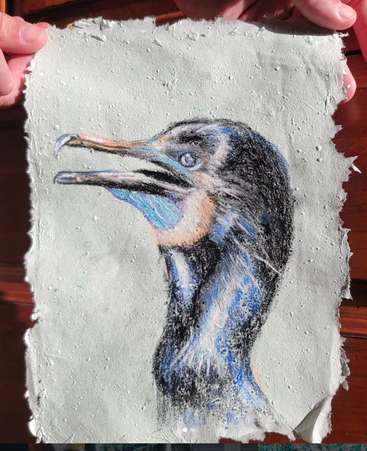 Soft pastel drawing of a cormorant on my recycled paper