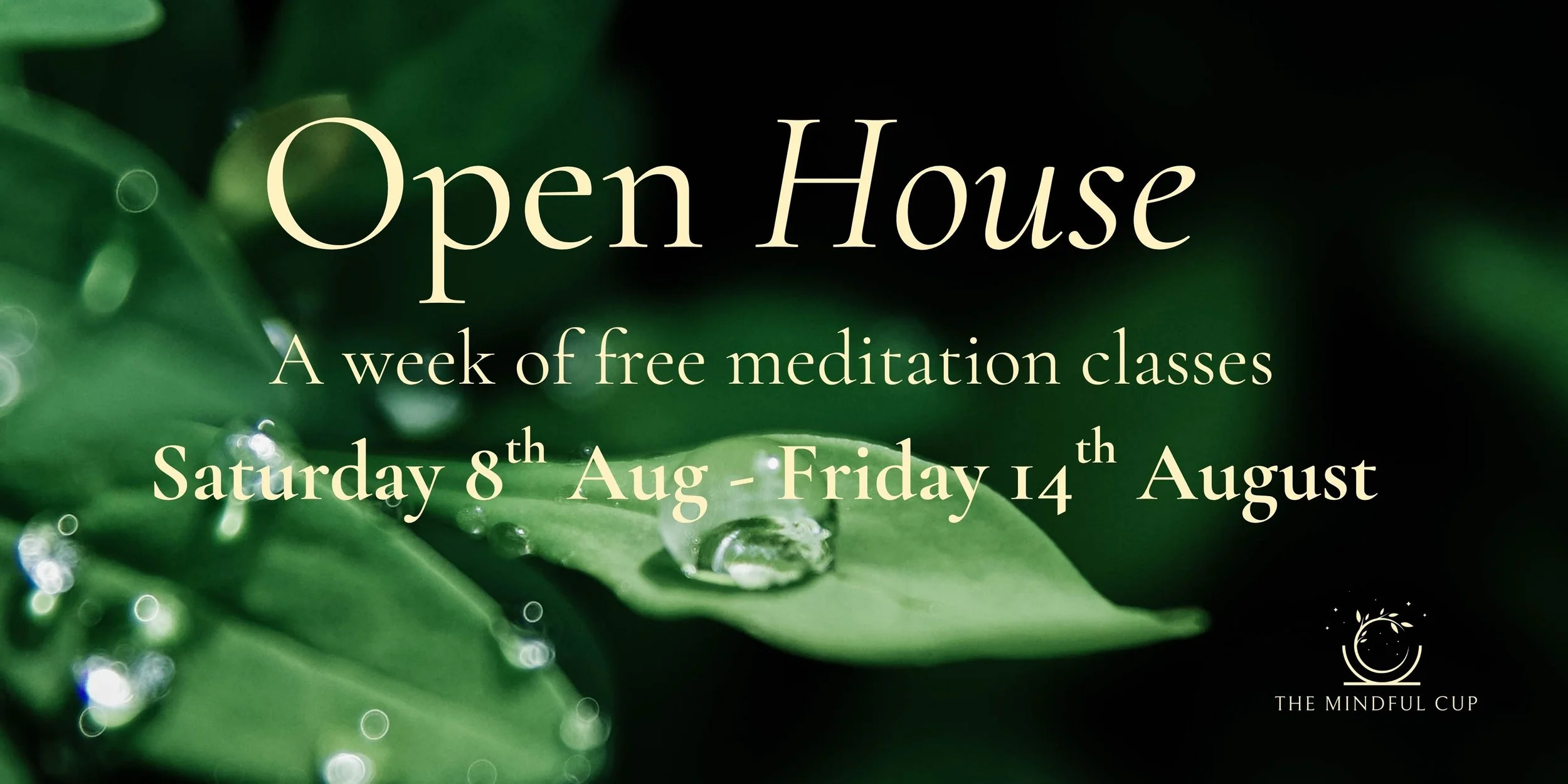 The “Open House” at The Mindful Cup. Or, an offering to “Trust”.