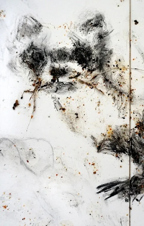 more "back from the brink"