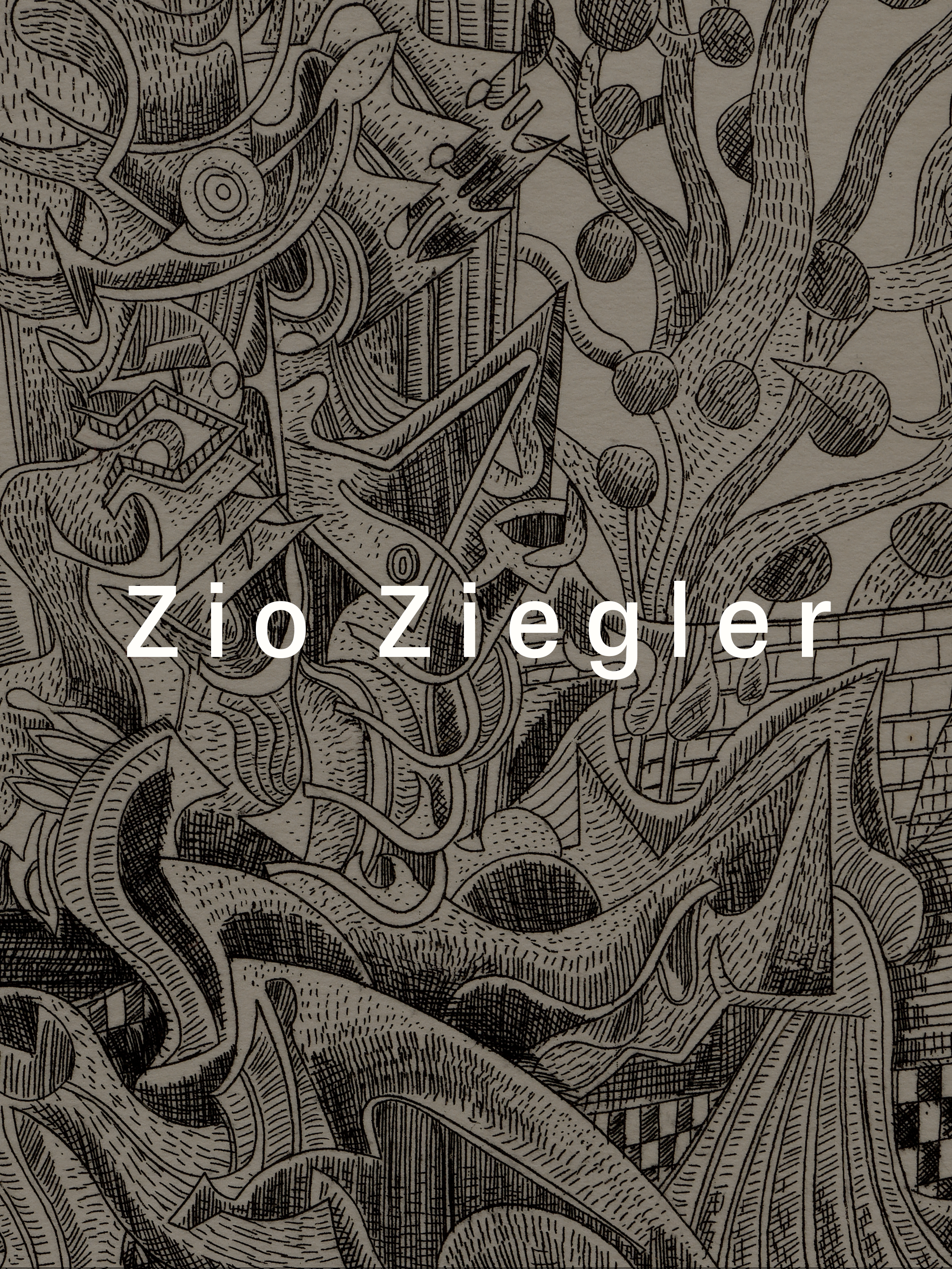 ZZ WEBSITE.png