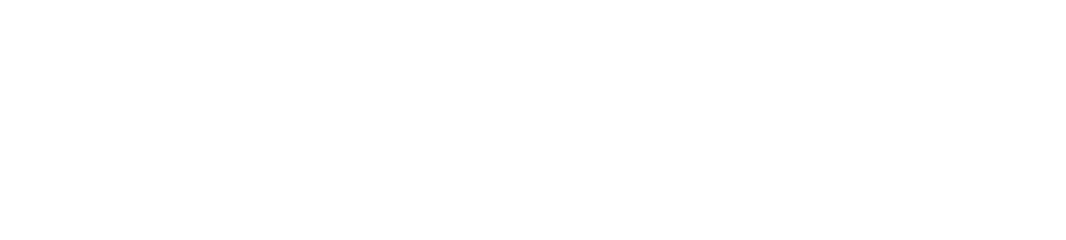 Birdseye Energy Storage
