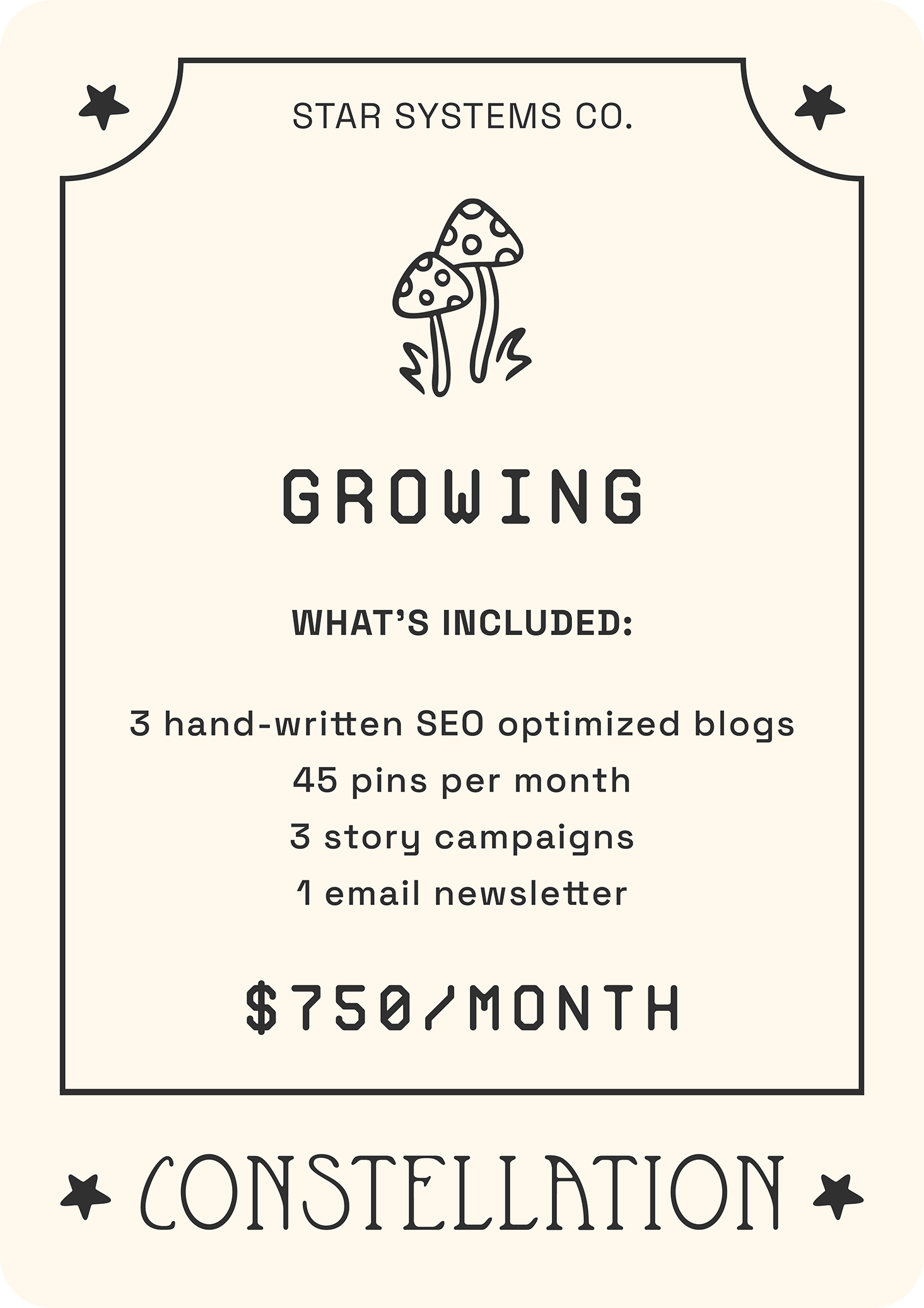 star systems co virtual assistant, growing va package for small businesses, seo expert, social media marketing, blogging, email marketing, pinterest management