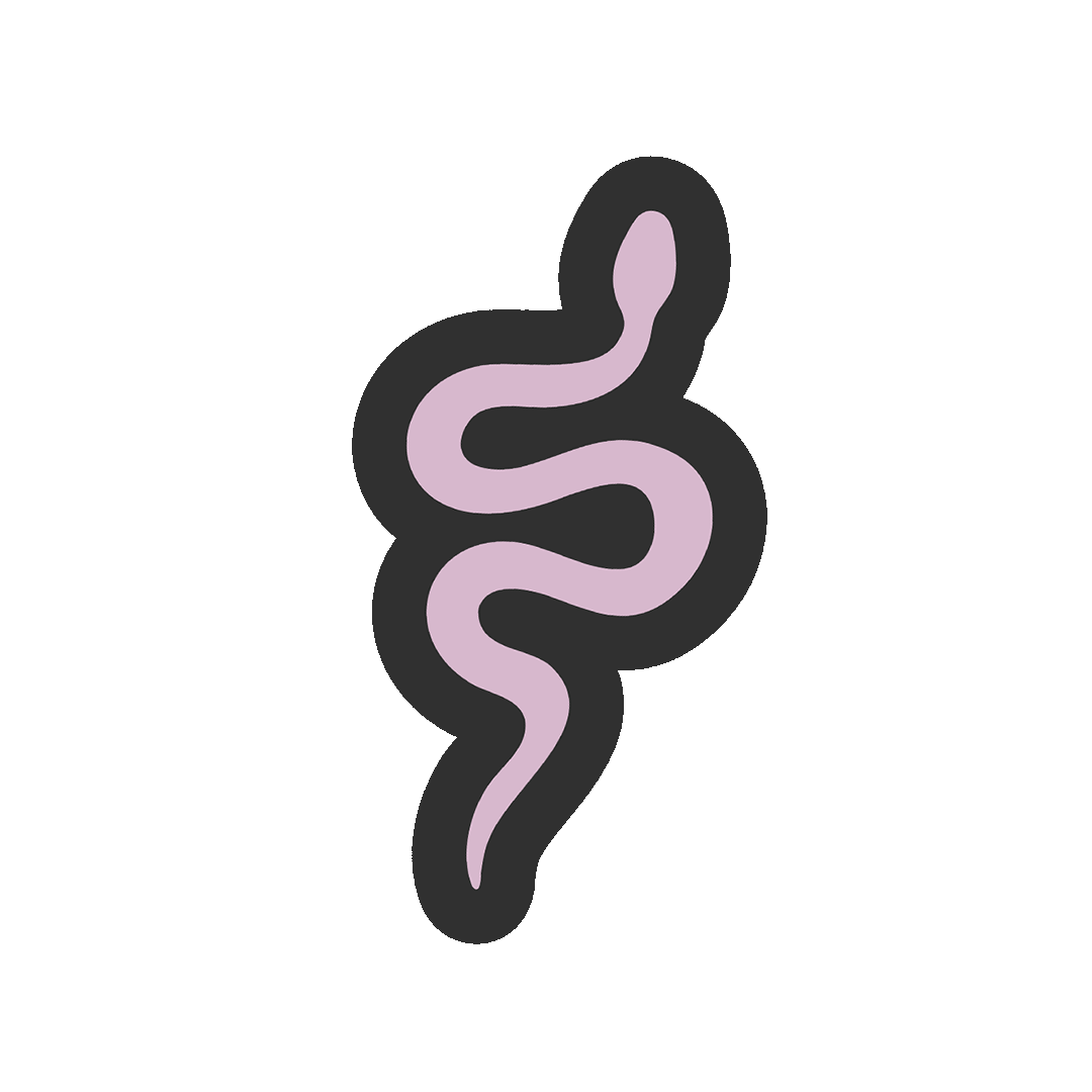 star systems co virtual assistant, virtual assistance for small businesses, seo expert, social media marketing, blogging, email marketing, pinterest management