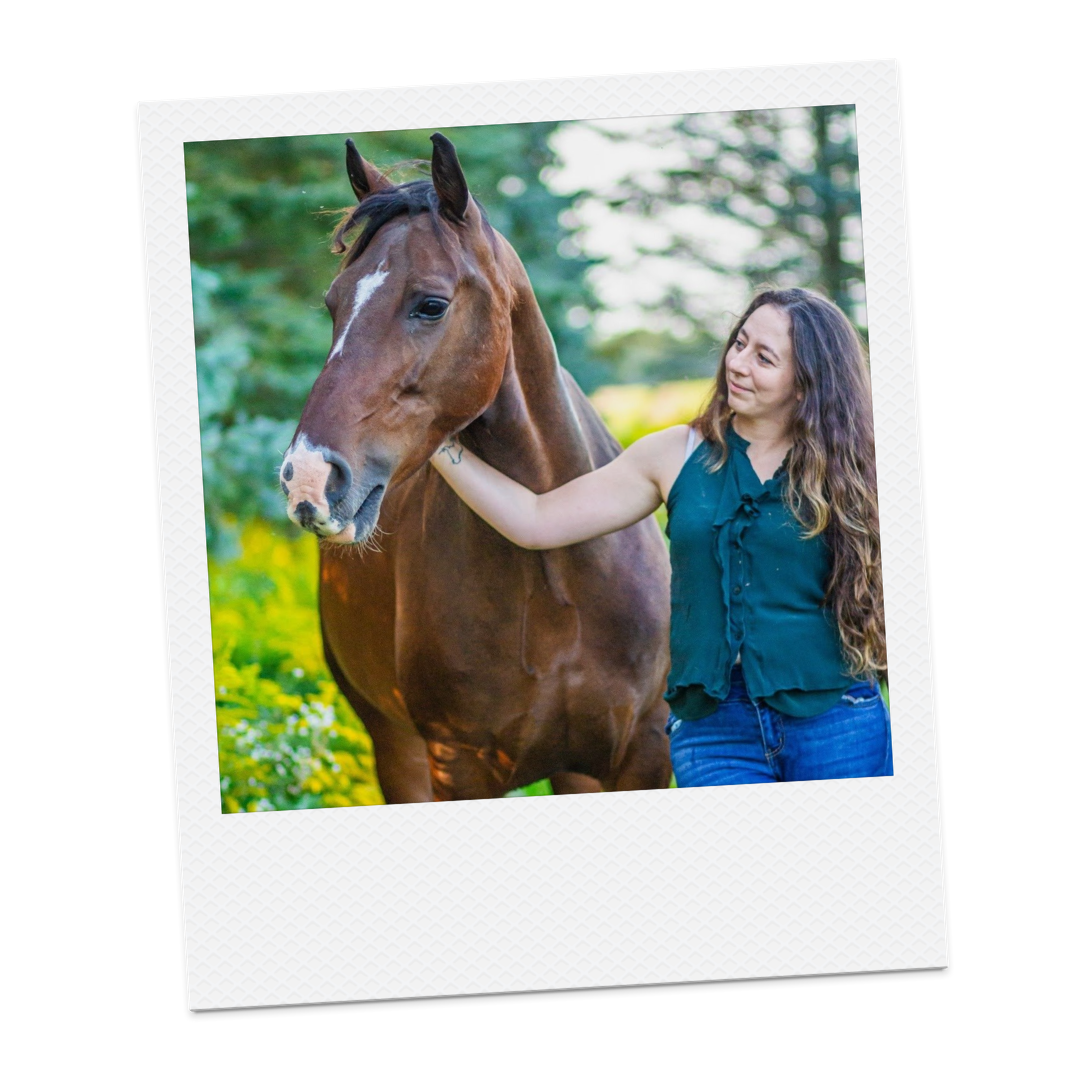 star systems co virtual assistant, virtual assistance for small businesses, seo expert, social media marketing, blogging, email marketing, pinterest management